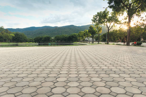 Best Custom Driveway Pavers  in Hartselle, AL